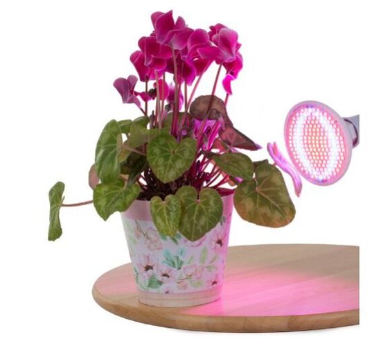 Lempa augalams 200LED